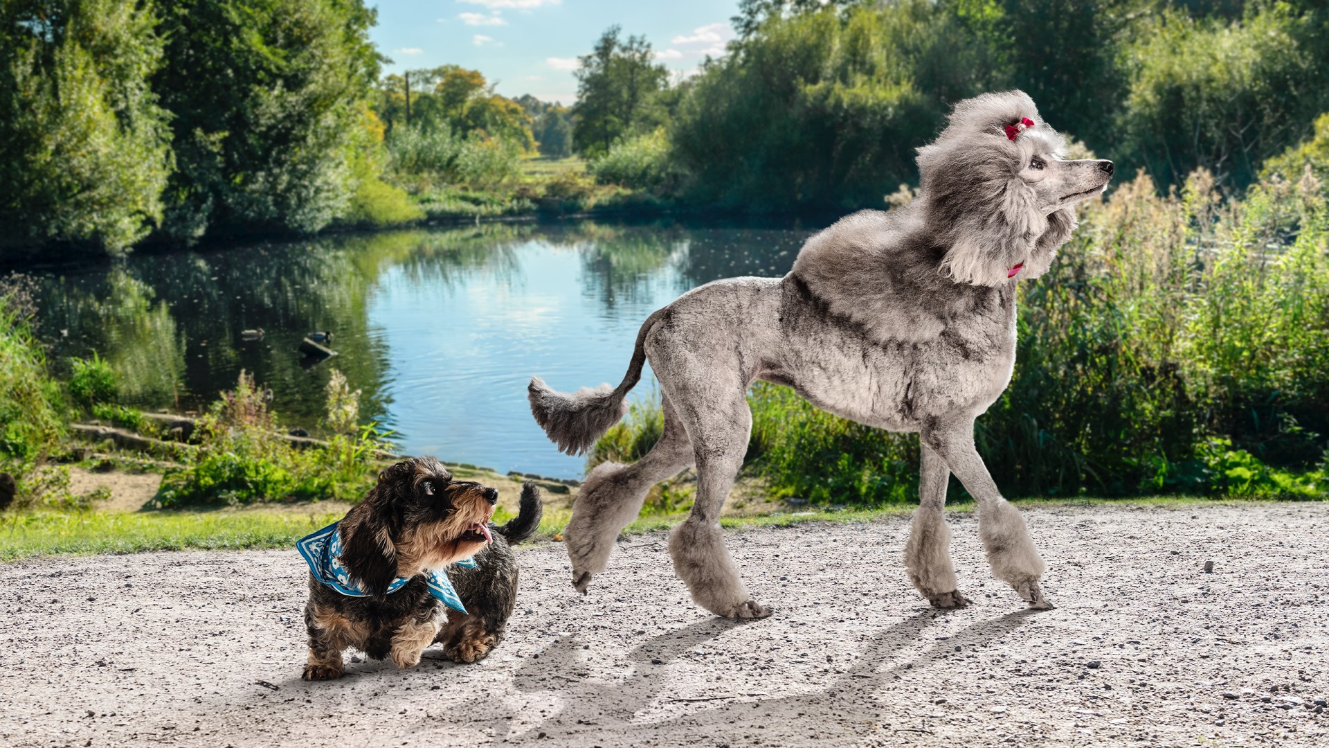 MERKURGROUP-spiel-sicher_2560x1440px_Hunde