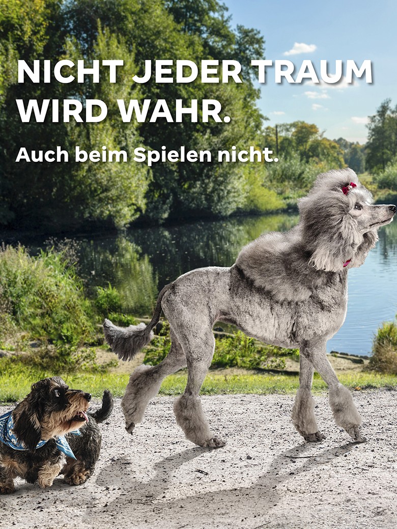 SPIEL SICHER 780x1440px_Hunde